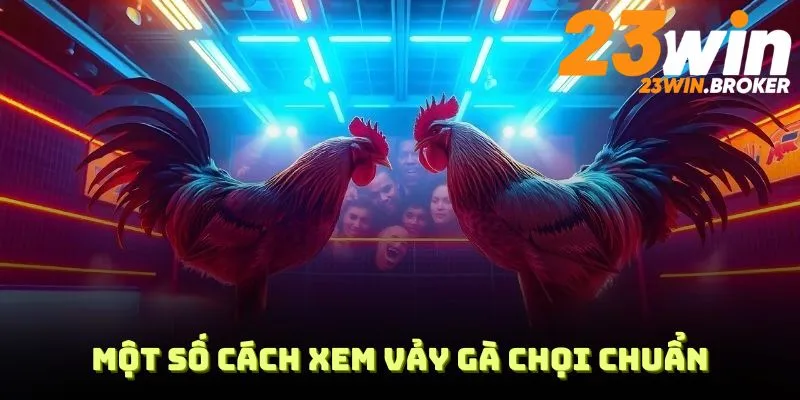 Cách Xem Vảy Gà Cực Chuẩn Theo Chuyên Gia Tại 23WIN 3 Một số Cách xem vảy gà chọi chuẩn từ 23WIN