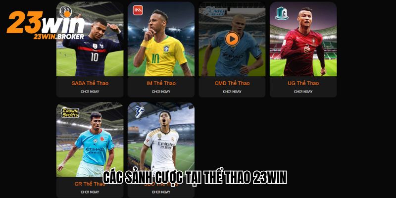 Thể Thao 23win - Sân Chơi Cá Cược Số 1 Hiện Nay 2 Chi tiết các sảnh cược