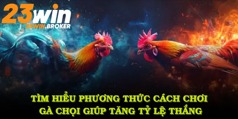 Cách Chơi Gà Chọi Và Những Ưu Điểm Thú Vị Bạn Nên Biết 4 Tìm hiểu loạt phương thức cách chơi gà chọi giúp bạn tăng tỷ lệ thắng